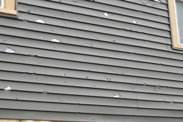 Best Fiber Cement Siding Installation  in Pine Grove, CA